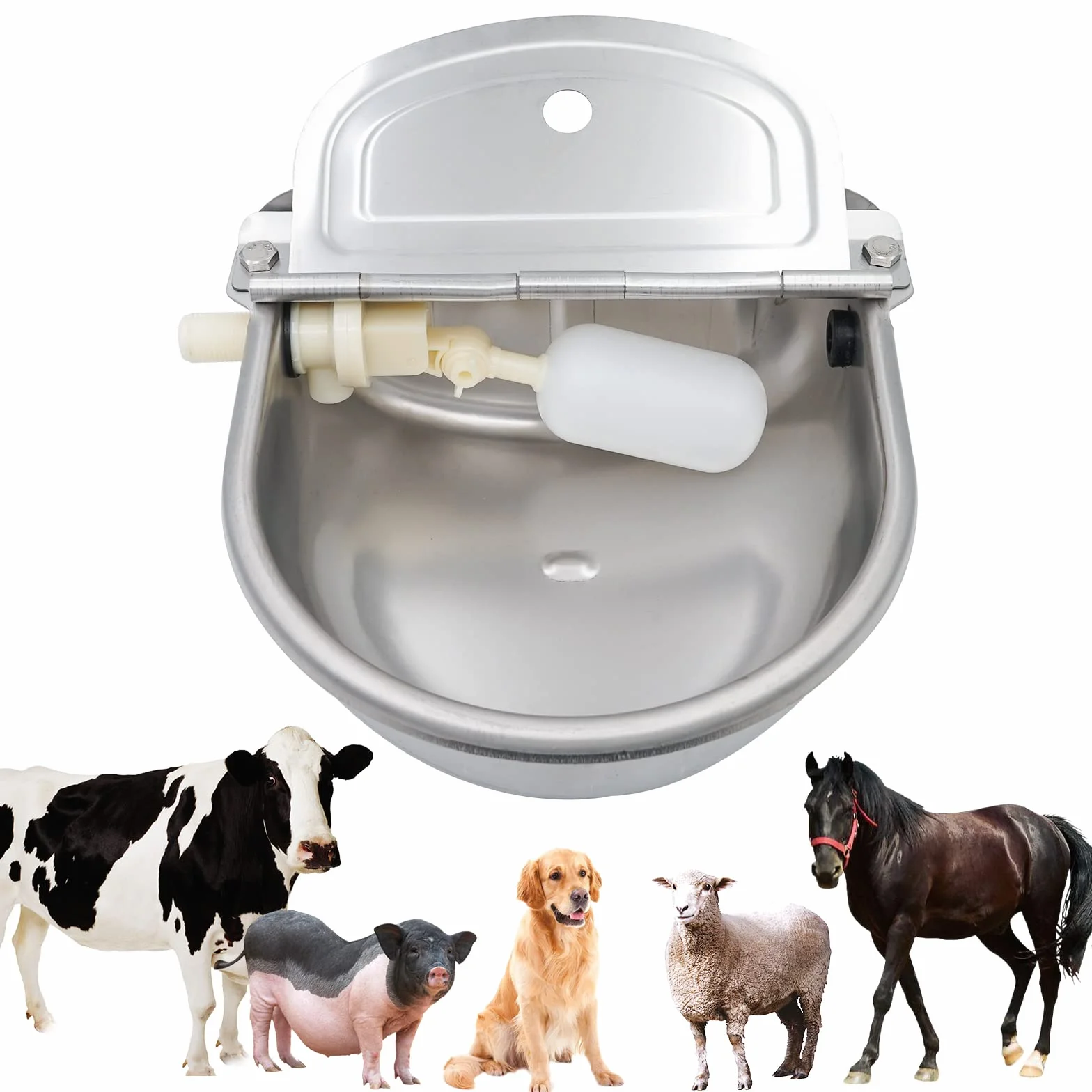 Abreuvoir Automatique en Acier Inoxydable pour Chevaux, Bovins avec 2 Flotteurs