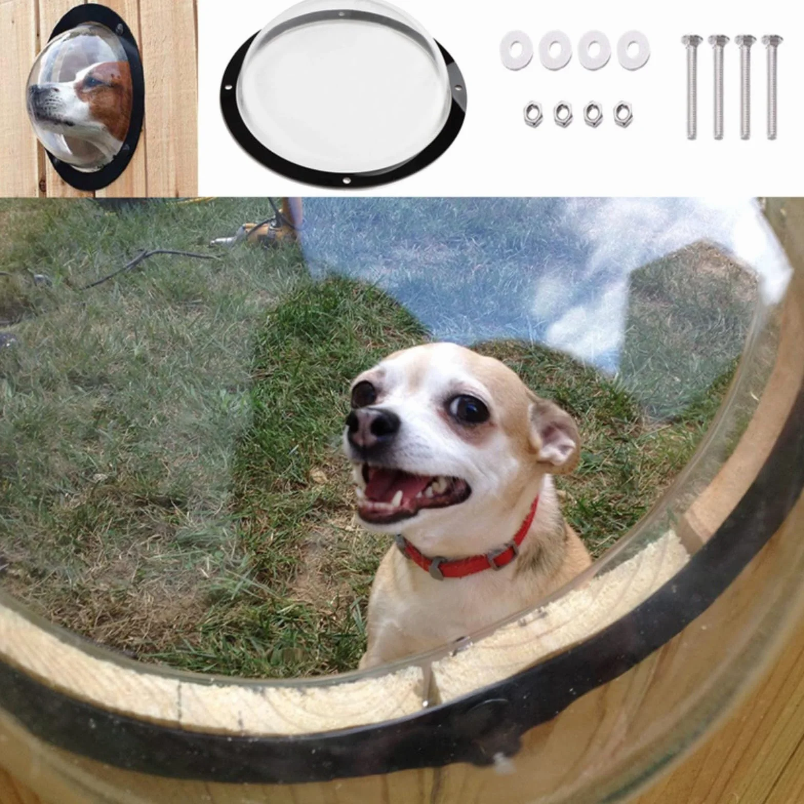 Hublot pour chien acrylique fenêtre dôme clôture jardin vue dégagée aboiement réduit