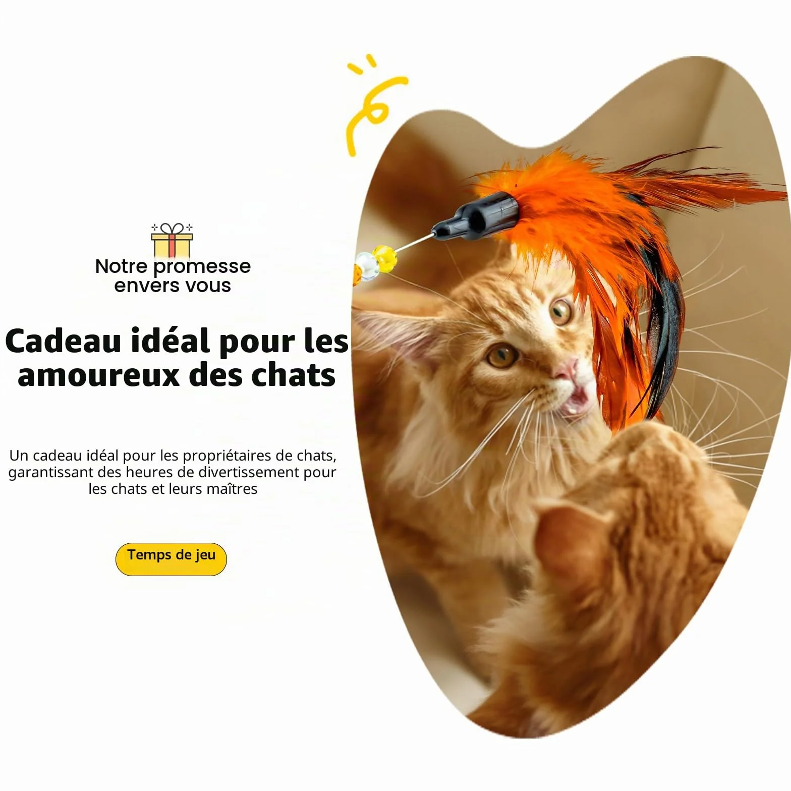 AIDIYA Jouets pour Chat avec Plumes et Baguette Lot de 6