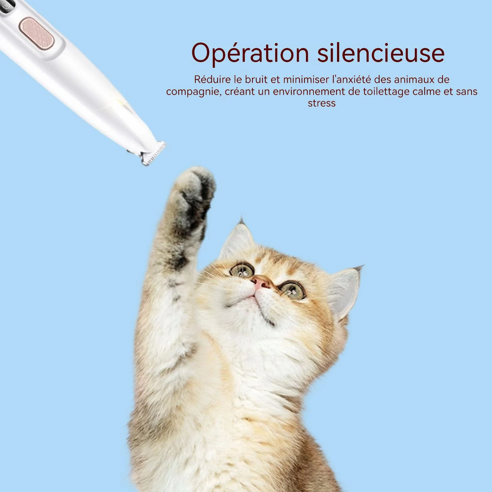 Patounet Tondeuse Chat Poils Longs, Soin Pattes Sans Douleur, Led Intégrée