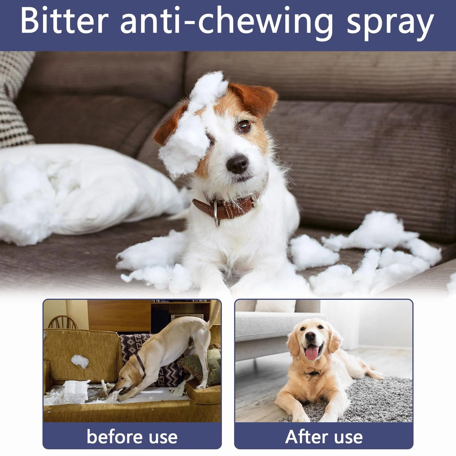 Répulsif Chat Canapé Spray Anti Griffure 50ml