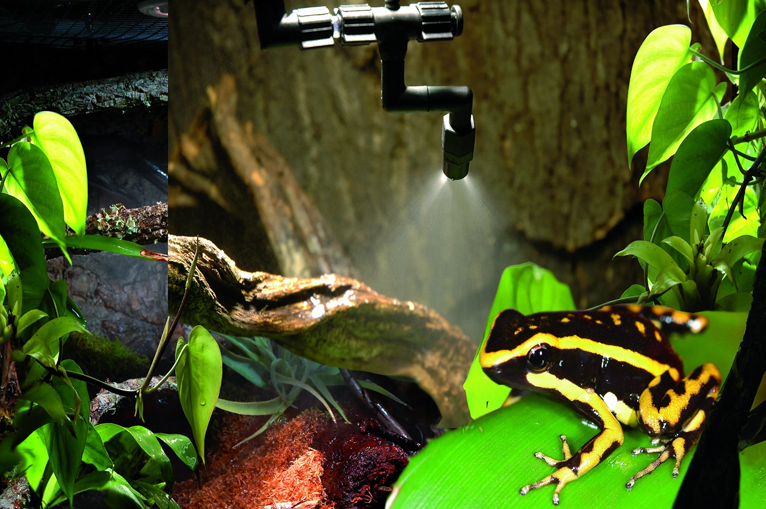 Lucky Reptile Super Rain II Mist System