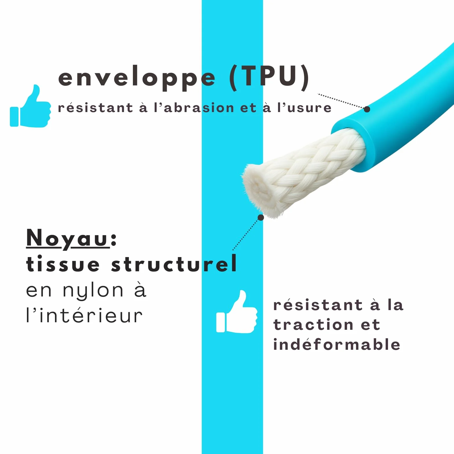 Laisse pour Chien 10 m Étanche Ronde sans Boucle Cyan Bleu 35 kg