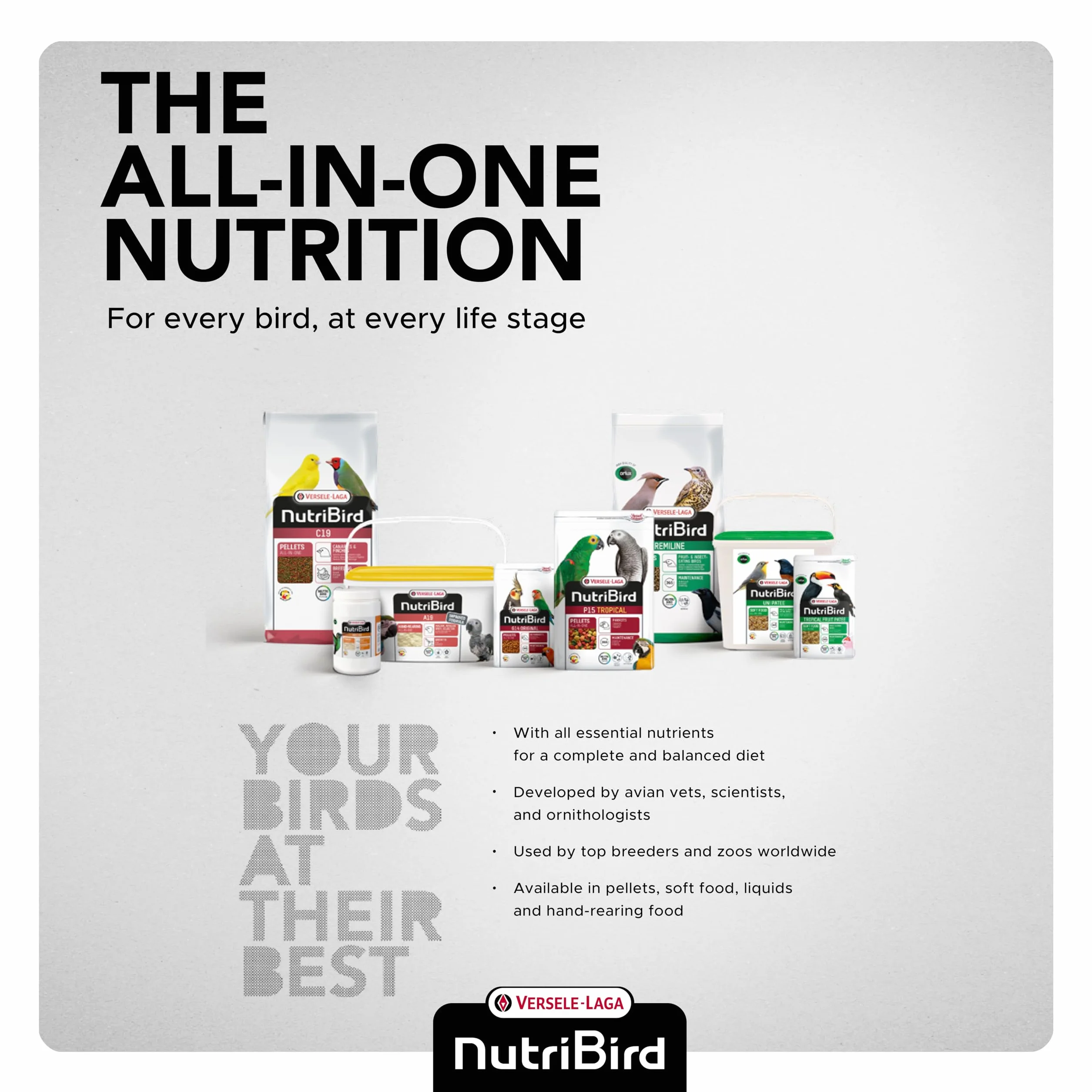 Versele Laga Nutribird Lori 700g Aliment pour Loris et Perruches des Figuiers