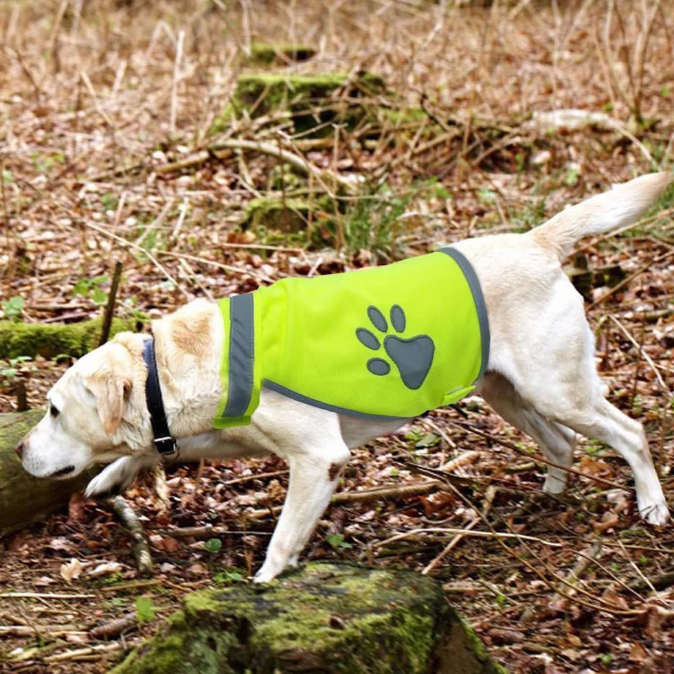 Gilet de sécurité réfléchissant jaune pour chien 5 tailles Haute visibilité taille L