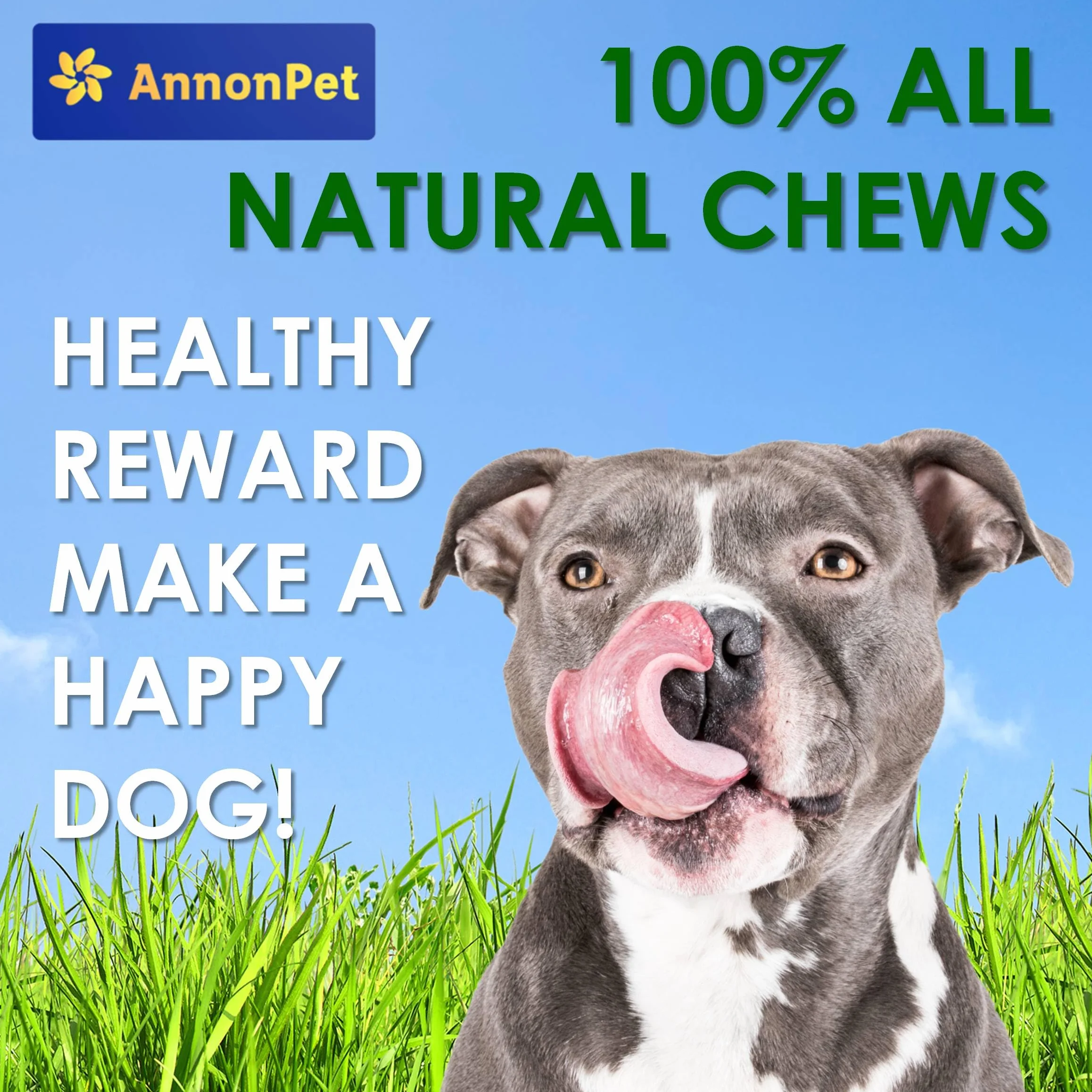 Lot de 10 oreilles de bœuf séchées pour chiens - Articles à mâcher naturels et faciles à digérer - Riche en protéines, sans additifs - Idéal pour les soins dentaires et la réduction du stress