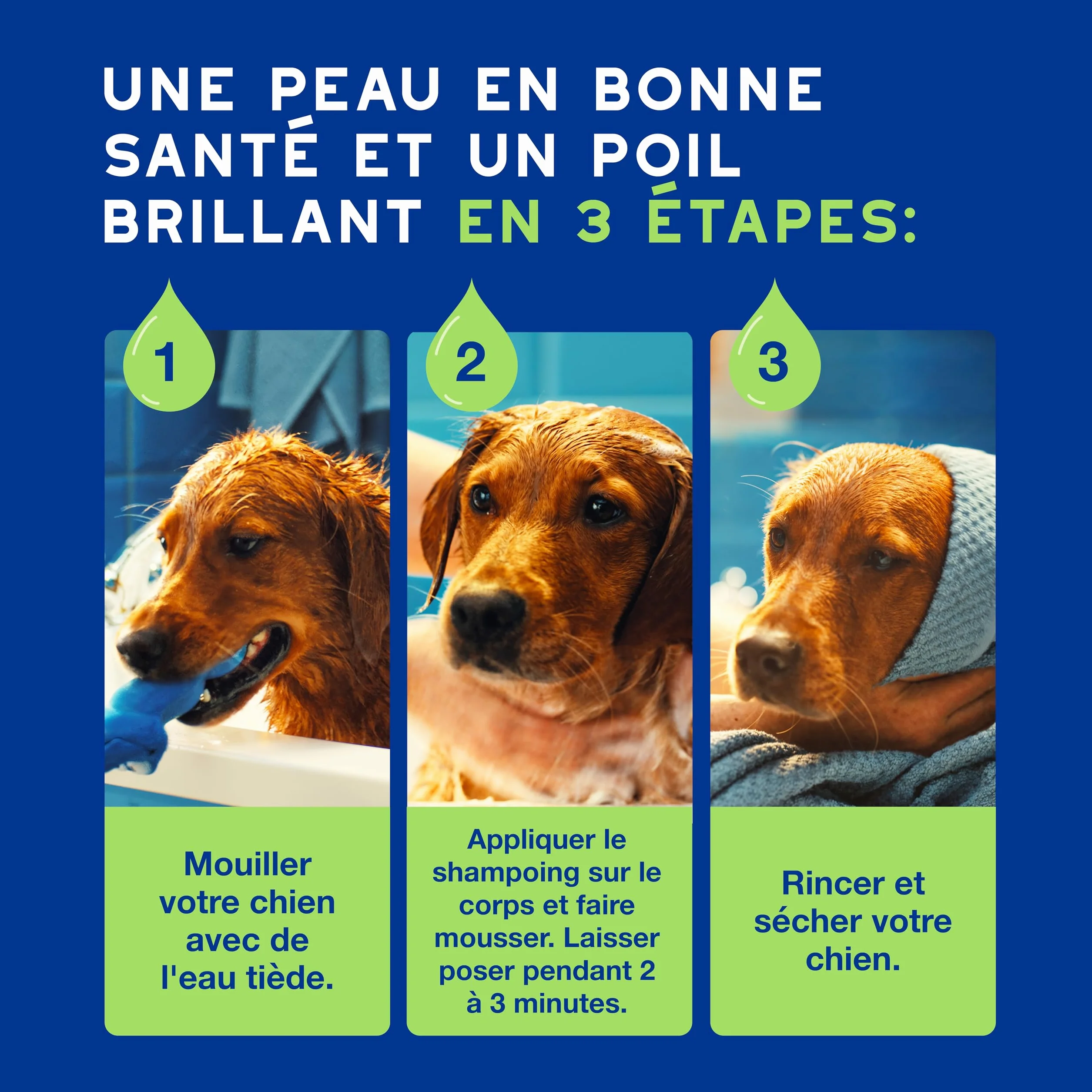 DOUXO Skin & Coat Spa - Ultra-Safe Shampoing pour Chiot, 250mL, Nettoie et Hydrate la Peau Profondeur, Laisse Le Pelage Doux et éclatant, Formule respectueuse de la Peau.