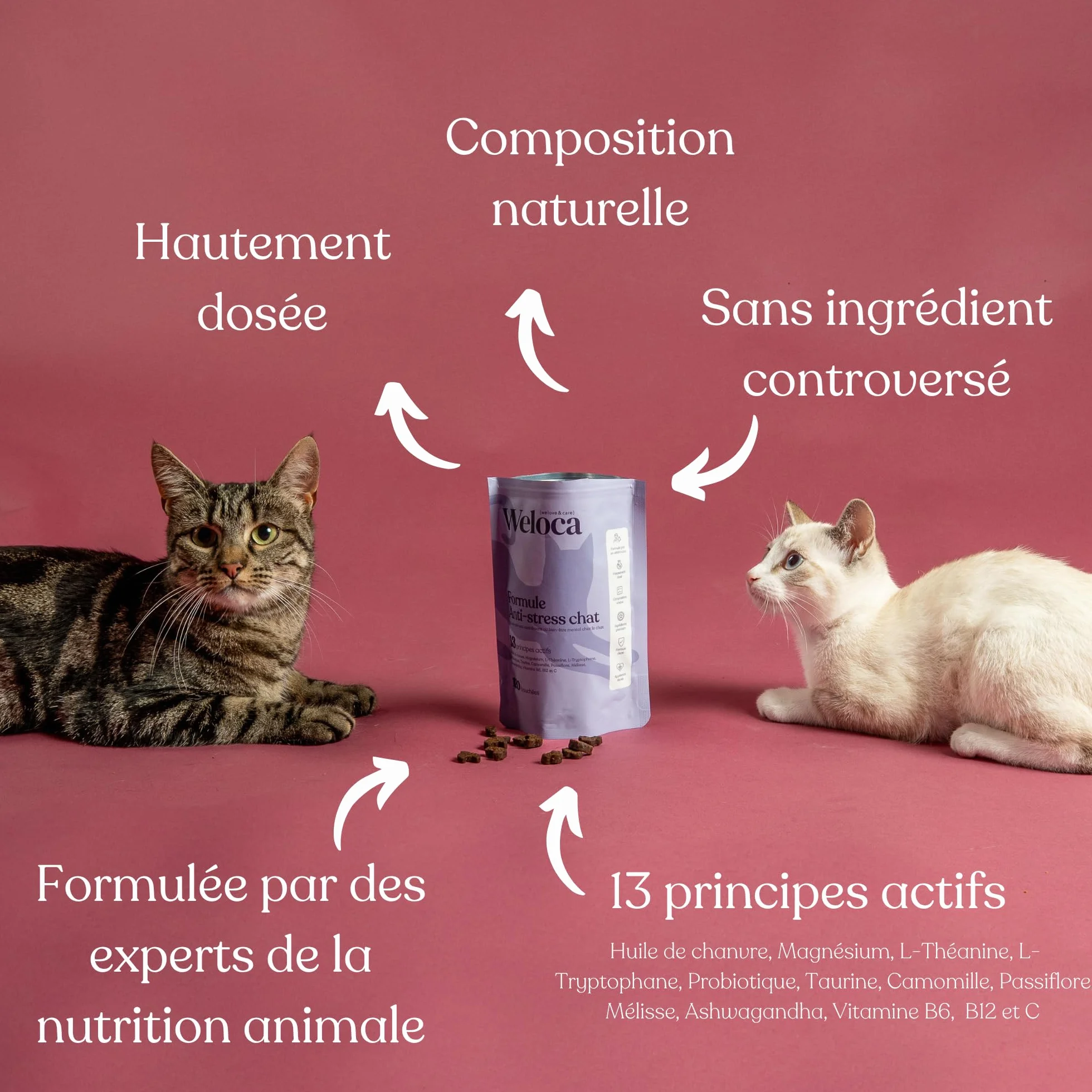 Anti-stress Chat 120 bouchées naturelles apaisant problèmes comportementaux calmant