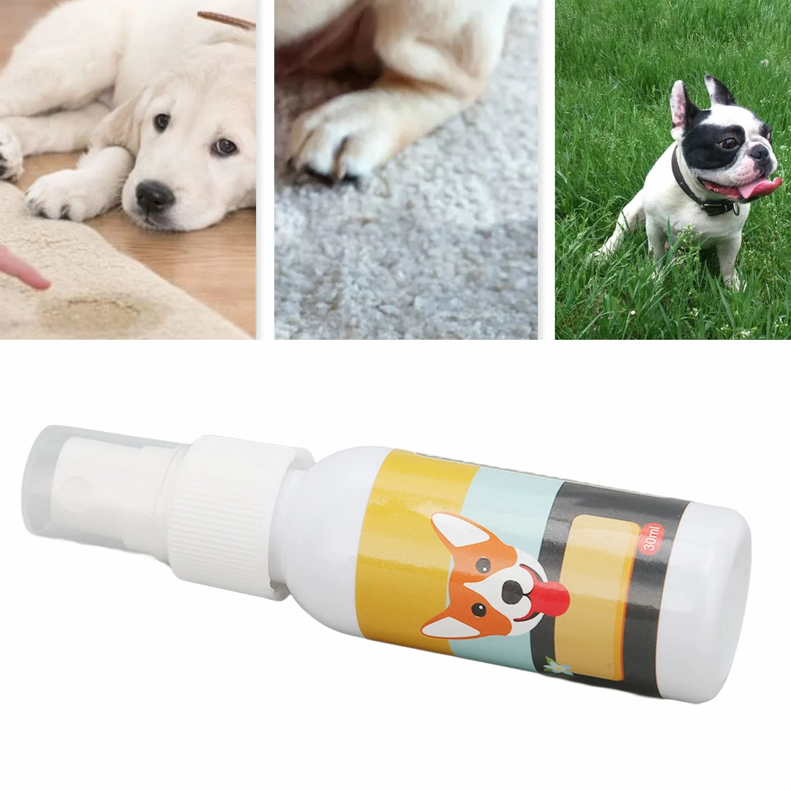 Spray d'apprentissage de la propreté pour animaux 30 ML avec parfum d'urine spécial