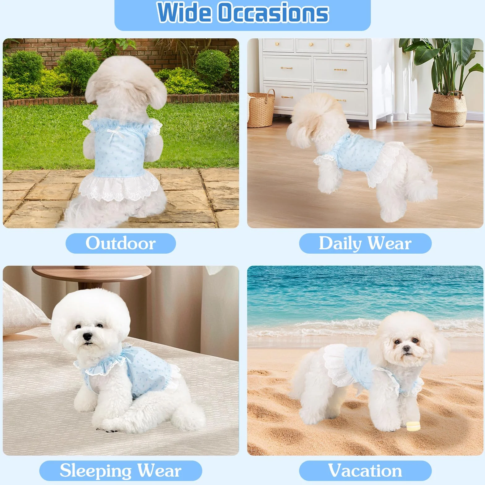 Lot de 2 Robes pour Chien, Vêtements d'Été Imprimé Floral Taille XS, Chemises à Volants pour Petits Chiens, Bleu et Rose
