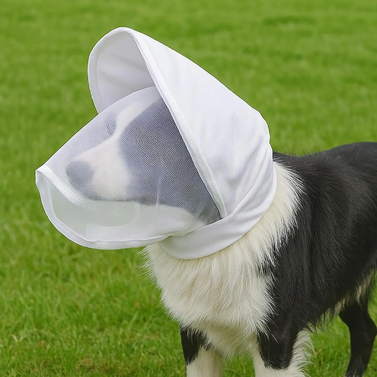 Réseau pour la tête de chien, respirant, réglable, protection de la tête en tissu maillé pour les chiens en plein air – pour les races petites et moyennes, les chiots, les voyages, les activités de
