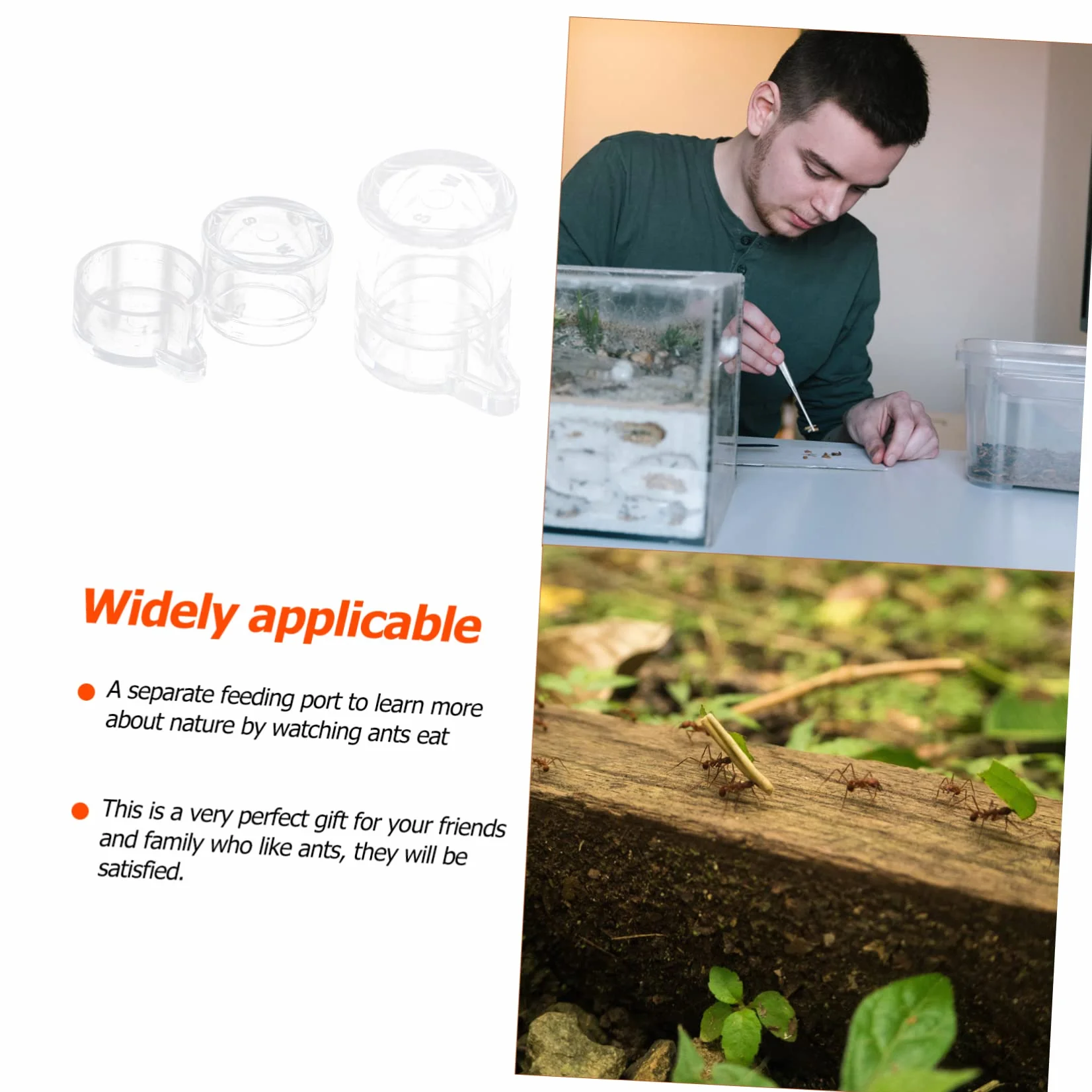 Kisangel 2 Pièces Alimentation pour Fourmis Acrylique Mangeoire et Récipient d'Eau Transparent