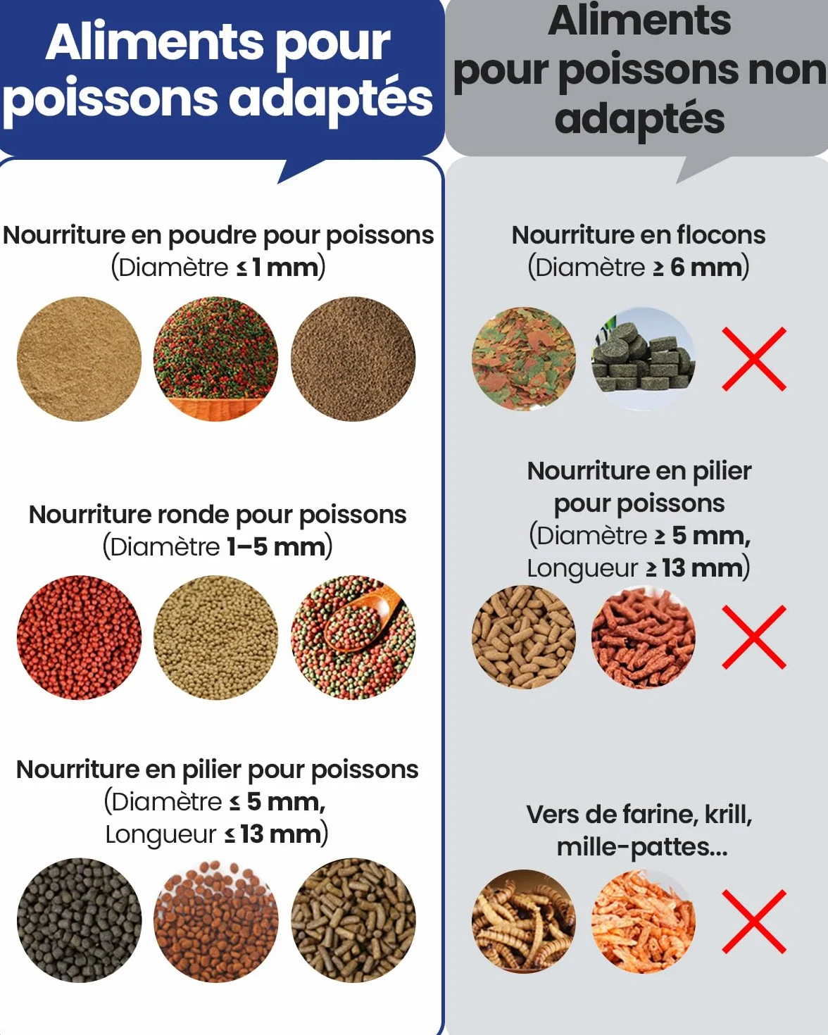 Mangeoire pour Poissons Automatique WOLMDS avec Caméra 2.5K et WiFi/App, 230ml Étanche, Gris Foncé