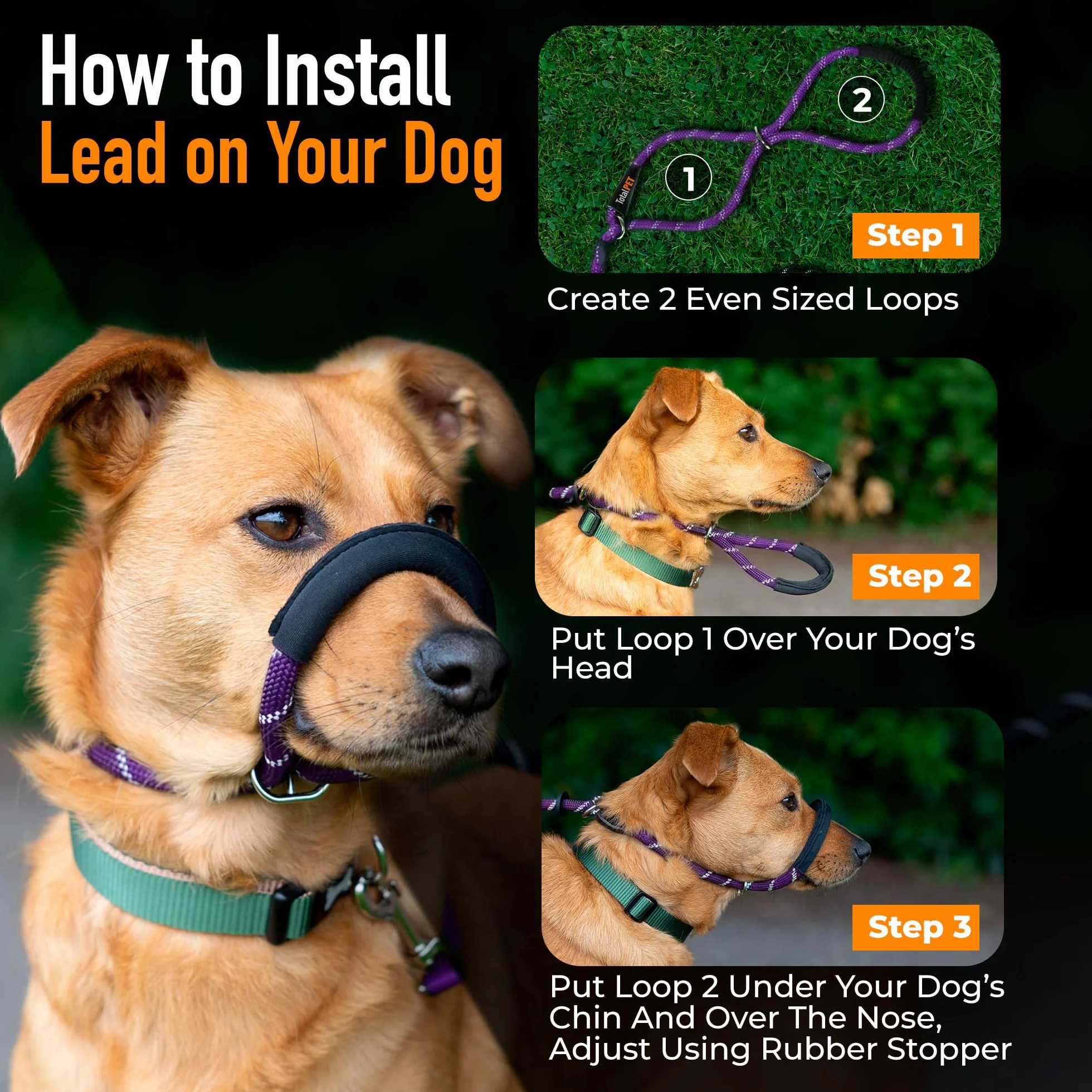 Laisse pour chien violette en figure de 8 Anti-tirage coulissante en corde avec support nasal rembourré Moyen/Grand