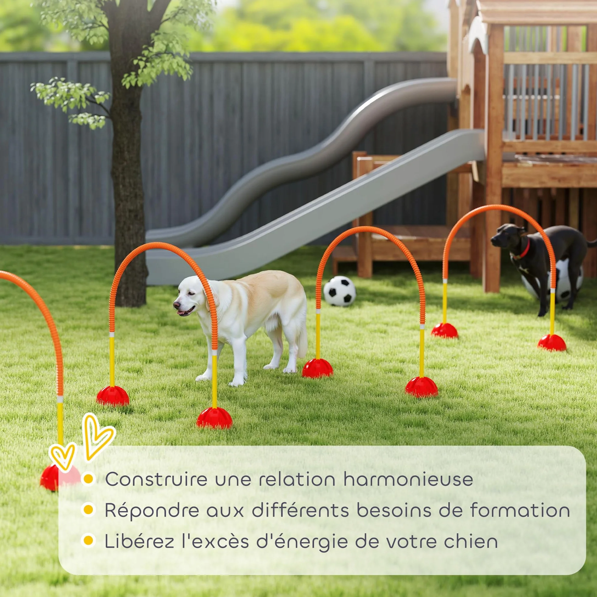 PawHut Kit d'équipement d'agilité pour Chien avec 4 Portes à Largeur réglable, Sac de Transport, Jaune et Orange