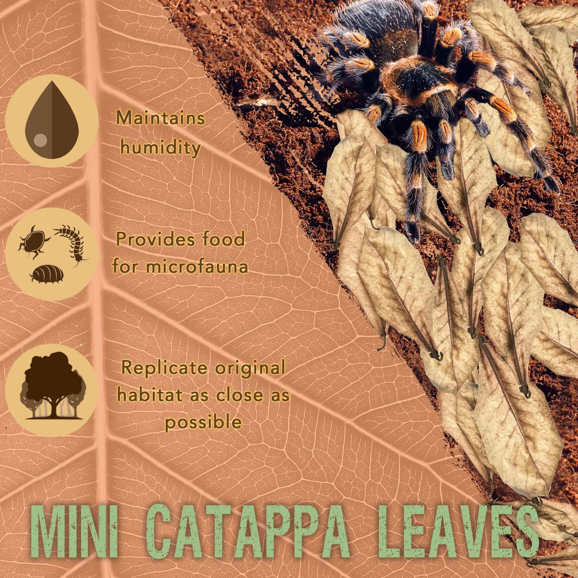 SunGrow Lot de 50 Mini Feuilles d'amande Indiennes séchées pour Terrarium, Vivarium