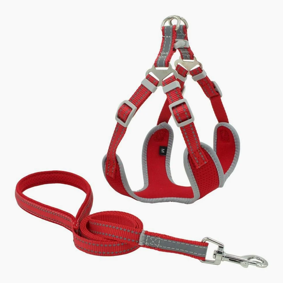 NX Ceinture de sécurité respirante pour chien en été Ceinture de sécurité sans laisse pour chiots de petite et moyenne taille qui réfléchit la nuit Produit pour animaux de compagnie Taille 43-20 cm