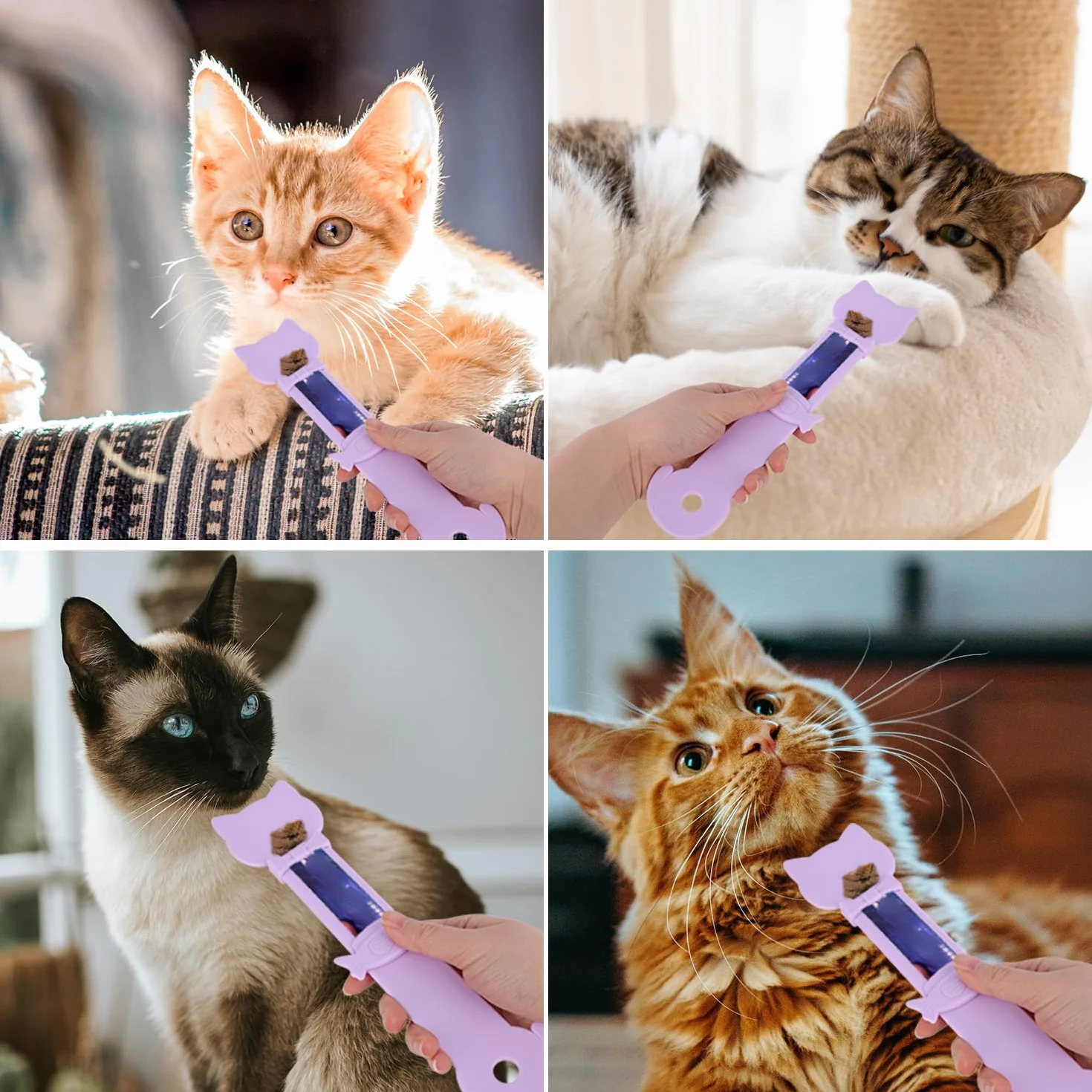 Cuillère à Friandises Chat, Mignonne et Multifonctionnelle Cuillère pour Chat for Aliments Humides Friandises à Lécher et Collations Liquides (Violette)