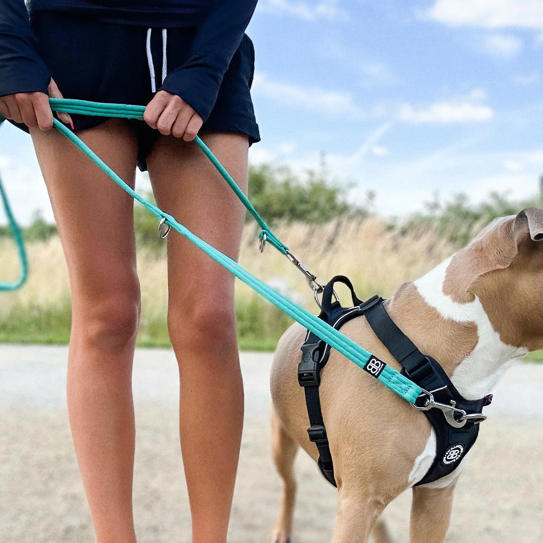 BullyBillows Laisse multifonction à double extrémité pour chien - Longueur moyenne ou longue - Kaki
