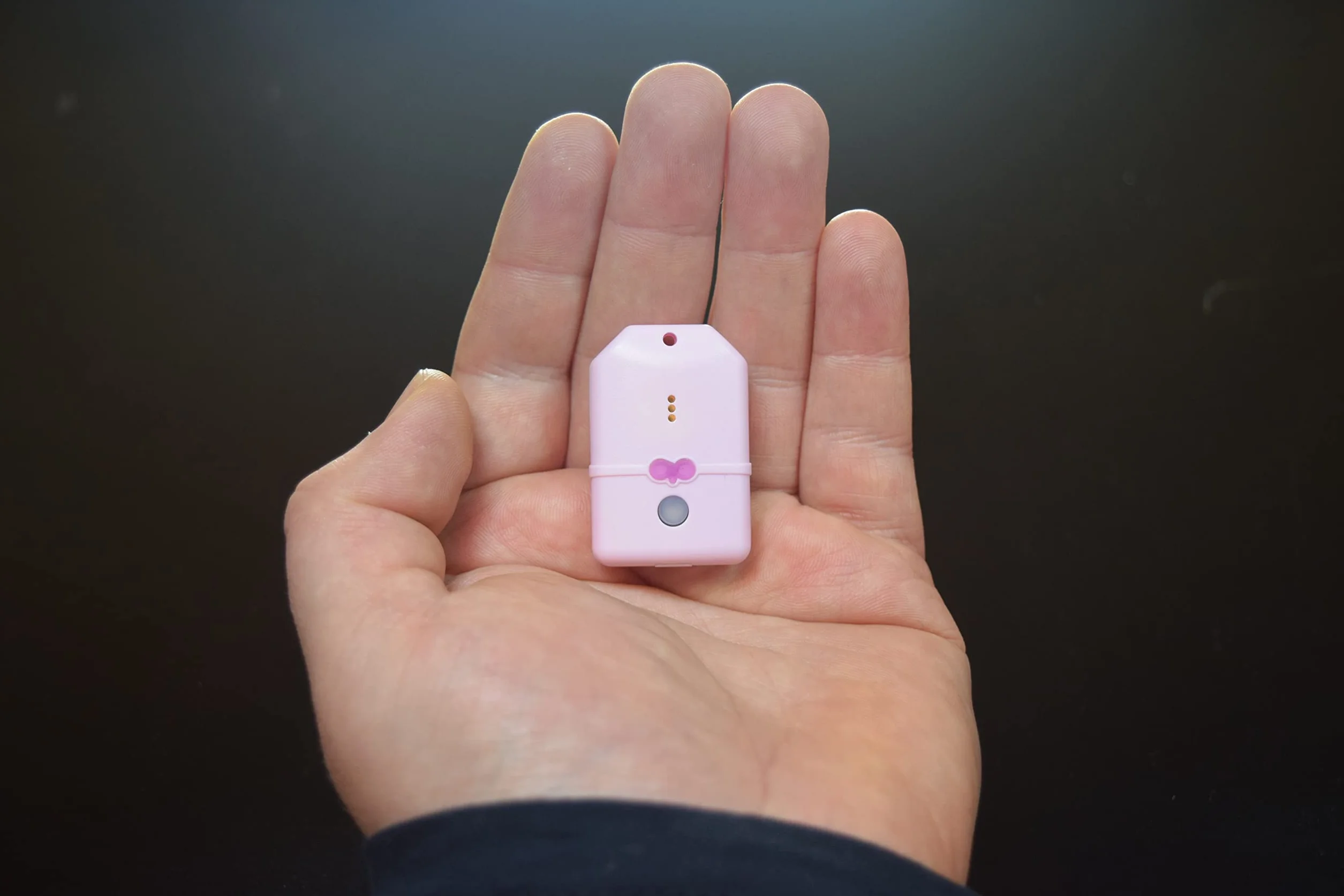 Mini Tracker pour Collier Chat Chien sans GPS - Radio Localisateur Girafus Traceur pour 4 Animaux avec Chargeur