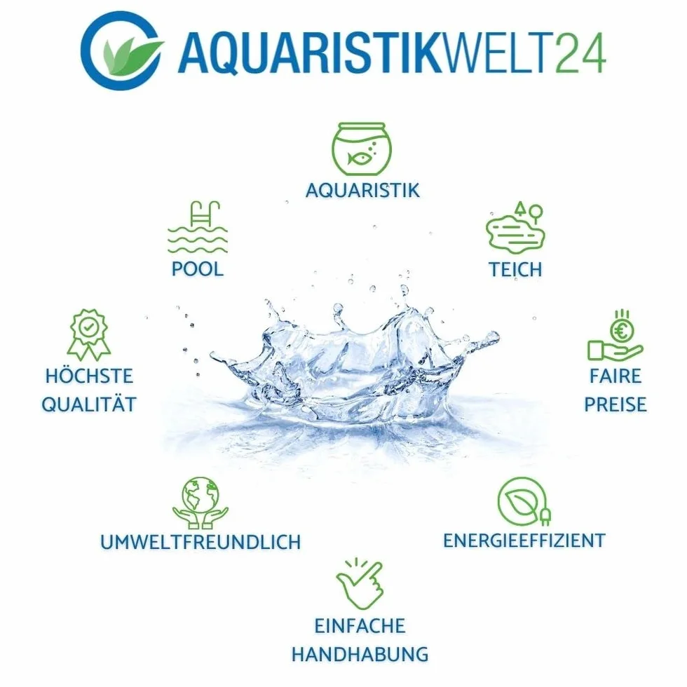 AquaOne Ludwigia repens Rubis Plante d'aquarium tige racinée Facile entretien