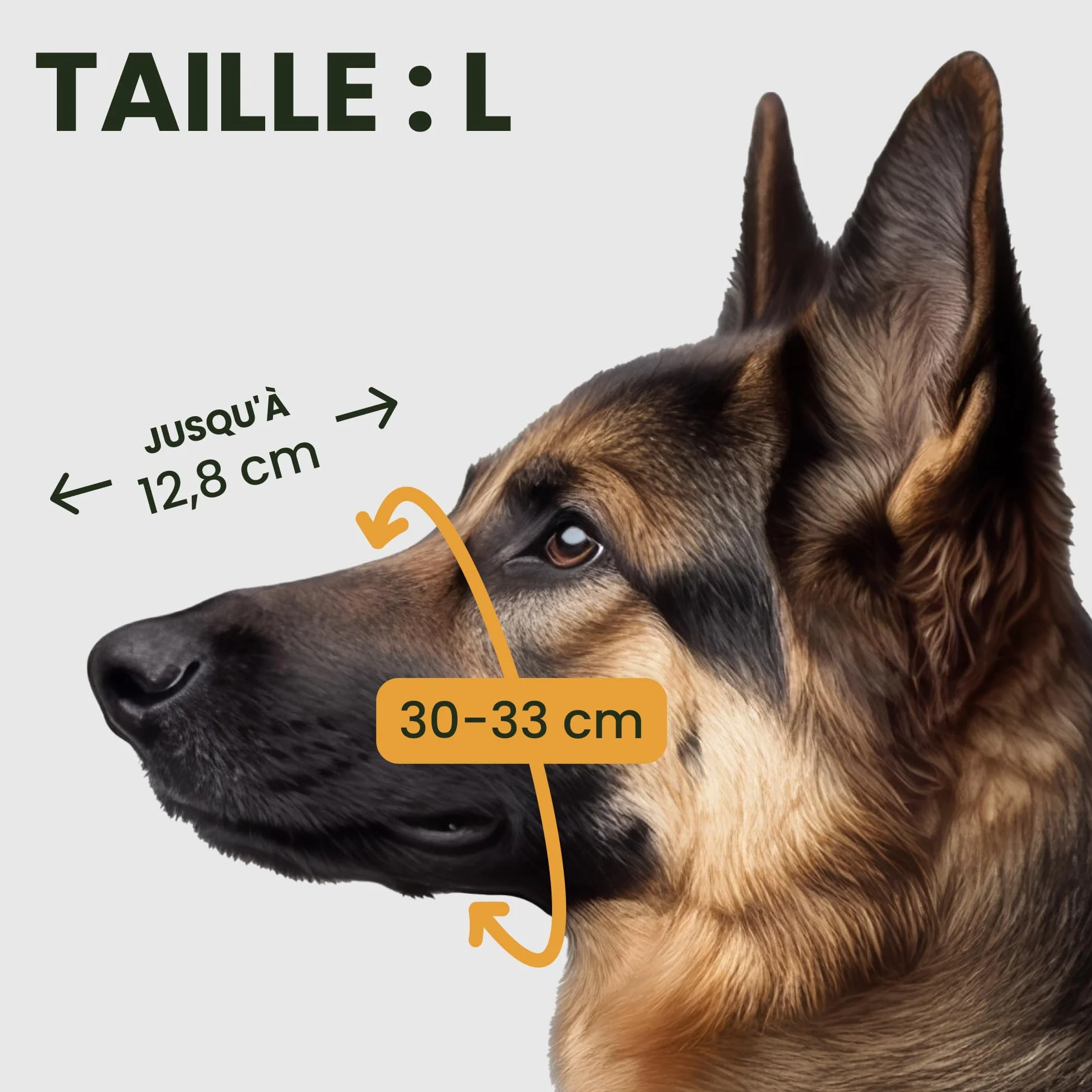 BRONZEDOG Muselière pour Chien en Fil de Fer - Berger Allemand pour Chiens de Taille Moyenne et Grande - Panier en métal Durable pour Mordre, mâcher et aboyer (L)