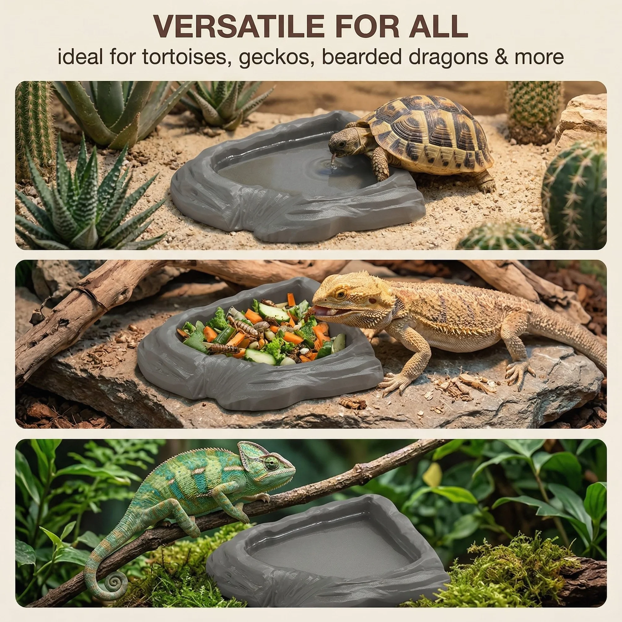 Bol D'Alimentation Pour Reptiles Nourriture Tortue Terrestre, Bol À Boire En Feuilles 2 Pièces