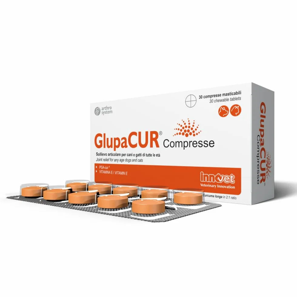 Innovet Glupacur Complément Alimentaire Articulations Chiens Chats Arthrose Mobilité Palmitoylglucosamine Curcumine Vitamine E 30 gélules