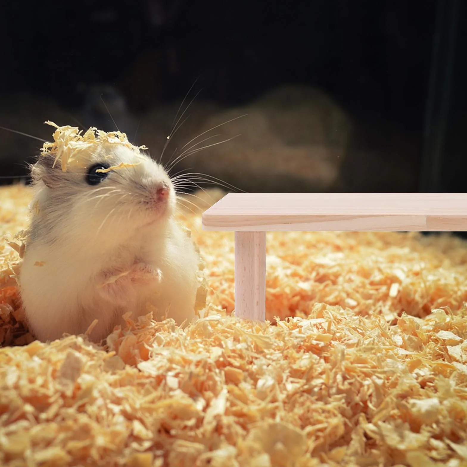 Plateformes - Plateforme pour Hamster - Convient pour Les Hamsters, Les Lapins, Les Chinchillas,Les Cobayes,La Coupe Est SoignéE Et Lisse, Et Ne Nuira Pas à Votre Animal de Compagnie (M)