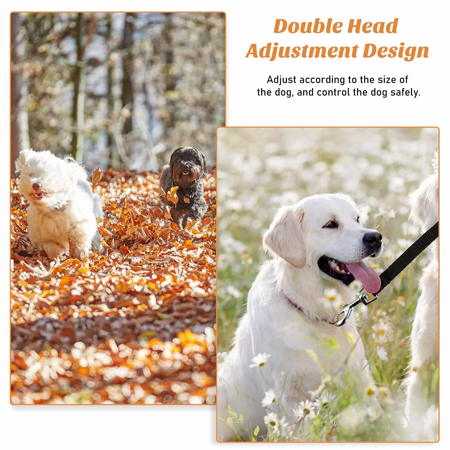 Double laisse réglable pour deux chiens - Noir