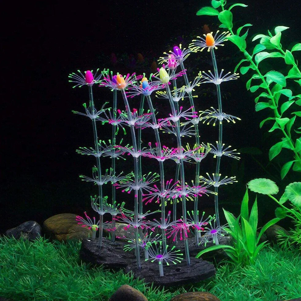Podazz Lot de 4 Décorations Fluorescentes pour Aquarium, Corail Artificiel et Anémone en Silicone