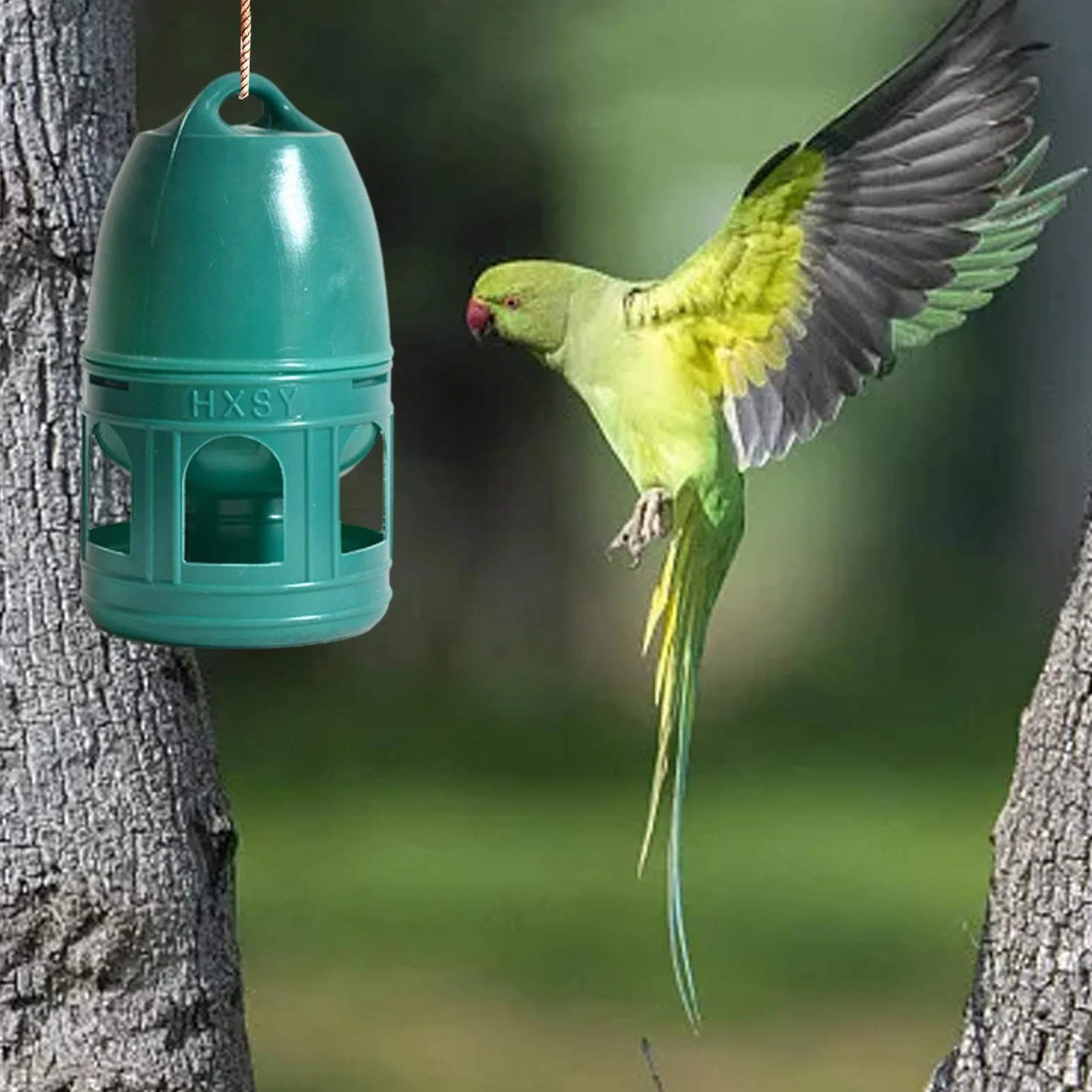 Abreuvoir pour Pigeons et Volailles - Capacité 3/5 L - Distributeur d'Eau avec Poignée de Transport