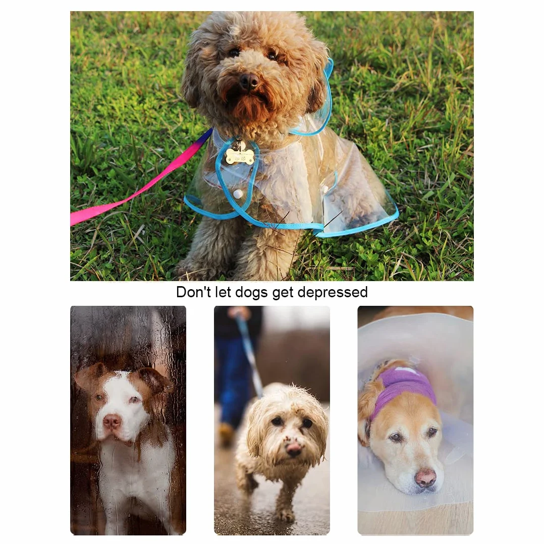 Imperméable pour Chien - Manteau Anti-Pluie Poncho pour Chiens avec Capuche en Nylon Transparent, Réglable et facile à porter, Imperméable et résistant au vent pour Chiens de Petite et Moyenne (XL)