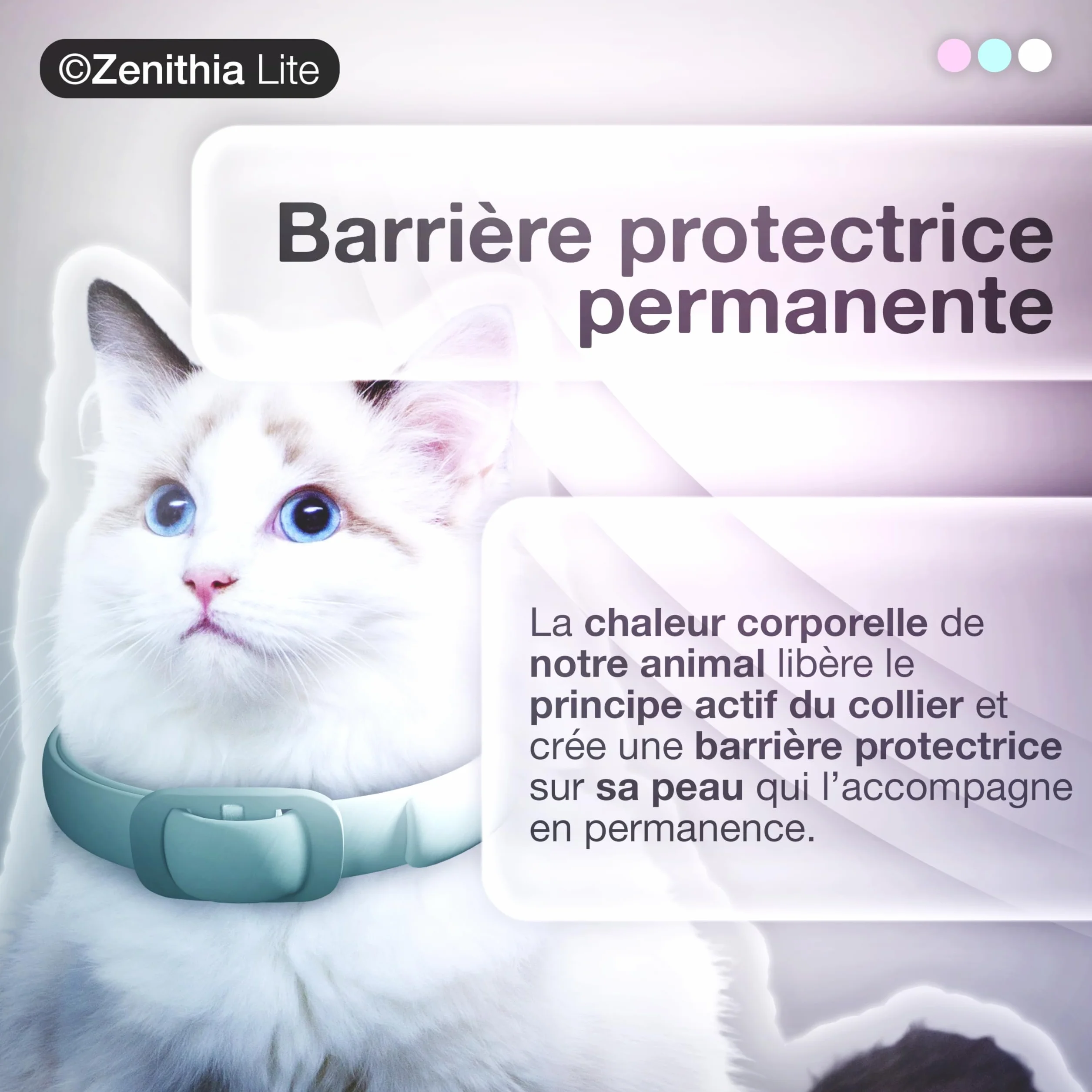 Collier Antiparasitaire Chat ZENITHIA Lite 48 cm Anti-Puces Tiques Moustiques 12 Mois Protection Étanche