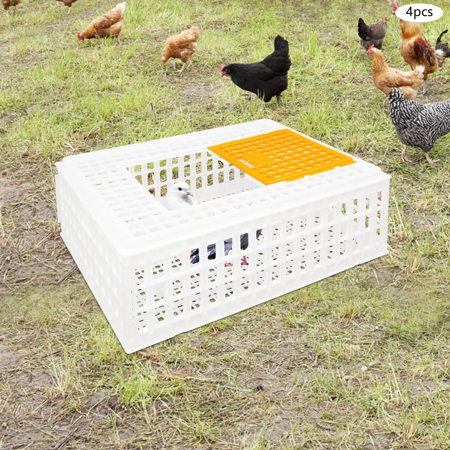 Lot de 4 caisses de transport pour volaille 77 x 55,5 x 27 cm - Capacité de charge 200 kg - Extra robuste