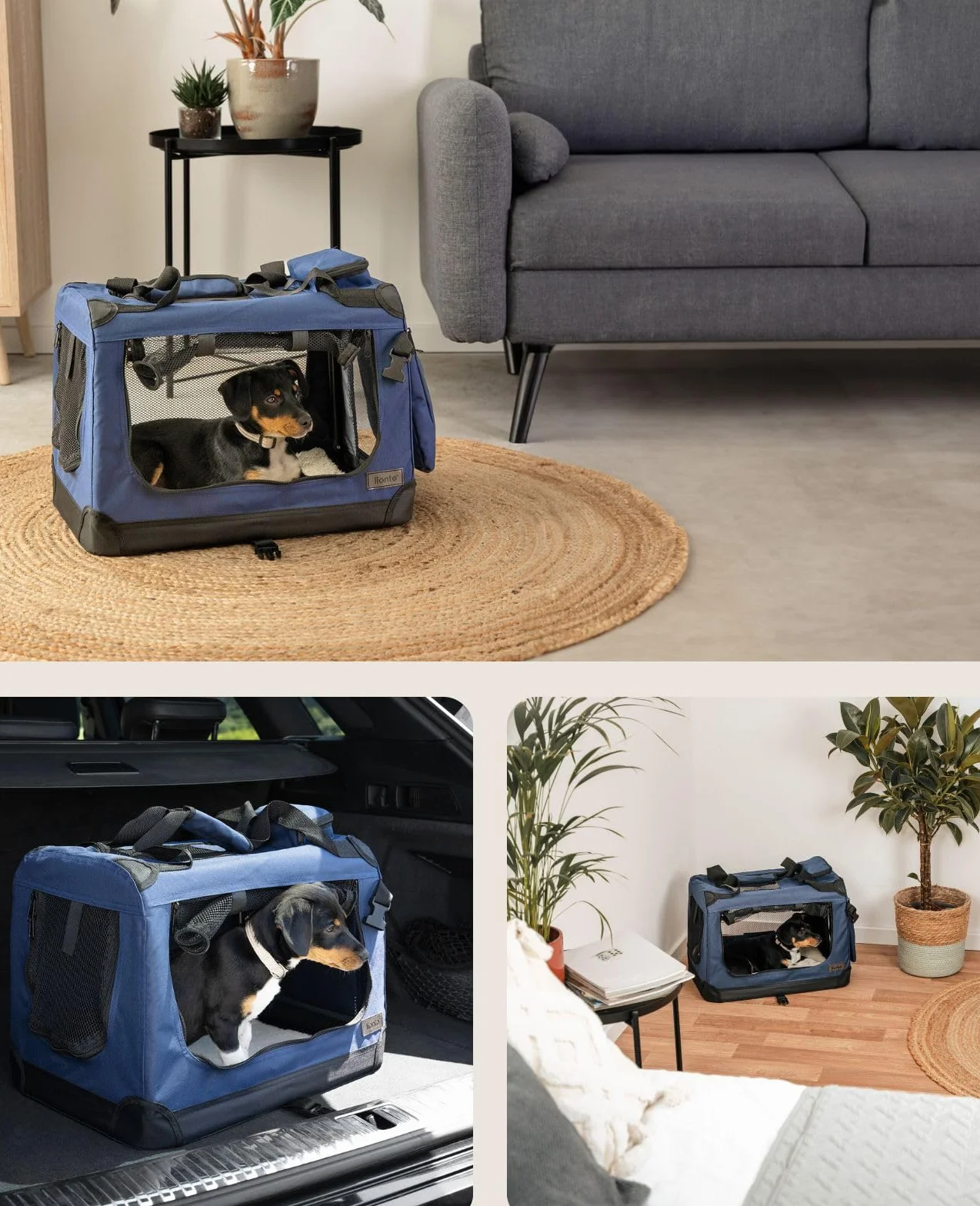 Lionto Caisse de Transport Pliable pour Chien Chat 50x34x36 cm Tissu Oxford Robuste