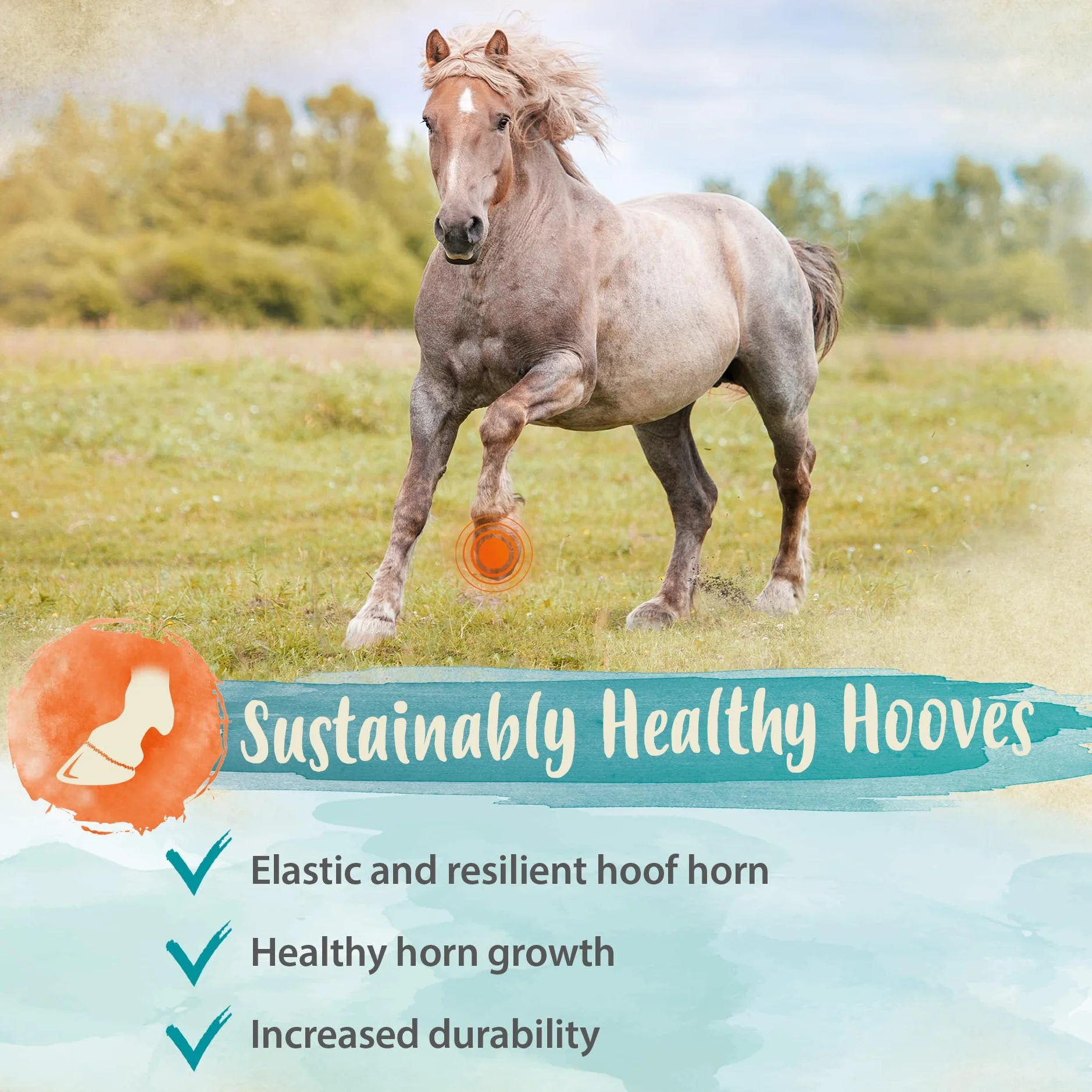 Ida Plus Biotine + Zinc - Soin complet - Hautement dosé - VAINQUEUR DU COMPARATIF - Zinc Premium pour chevaux - Améliore la qualité des sabots - Pour la peau, le pelage & le système immunitaire - 750g