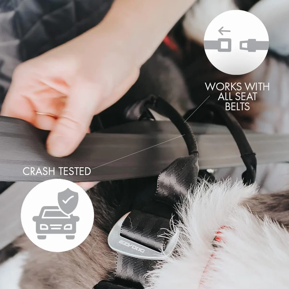 EzyDog Harnais de sécurité Drive pour Chien – Harnais Voiture testé en Crash-Test, Ajustable (L, Noir)