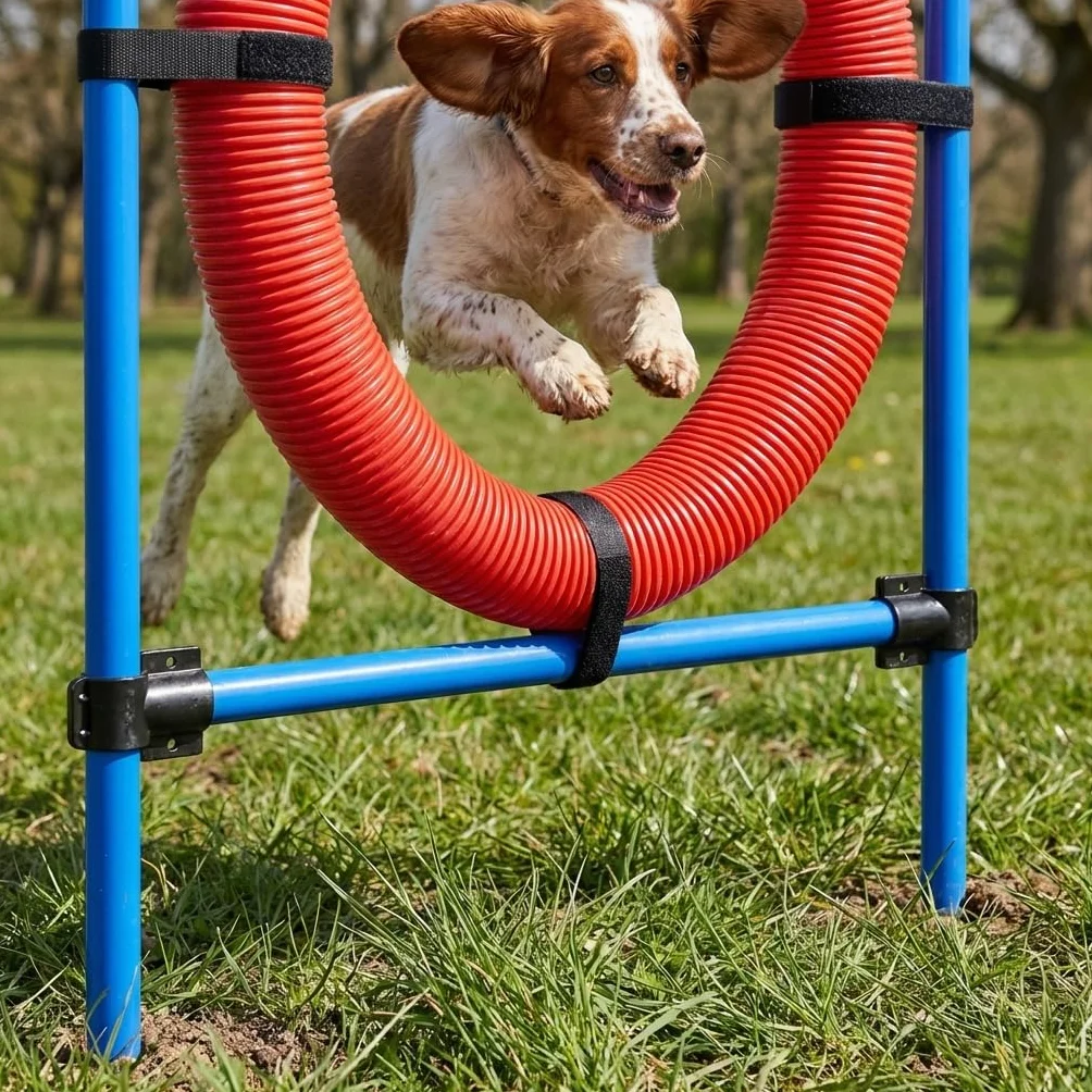 Cerceau d’Agilité pour Chien en Plastique avec Supports Métalliques Ajustables