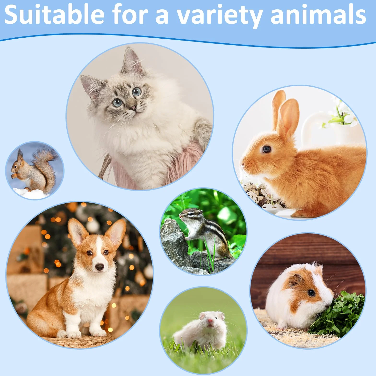 Kit de toilettage pour lapins avec brosse, coupe-ongles et peignes pour animaux de compagnie