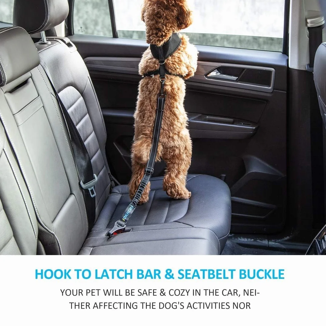 IOKHEIRA ceinture sécurité chien absorption d'énergie harnais LATCH ISOFIX