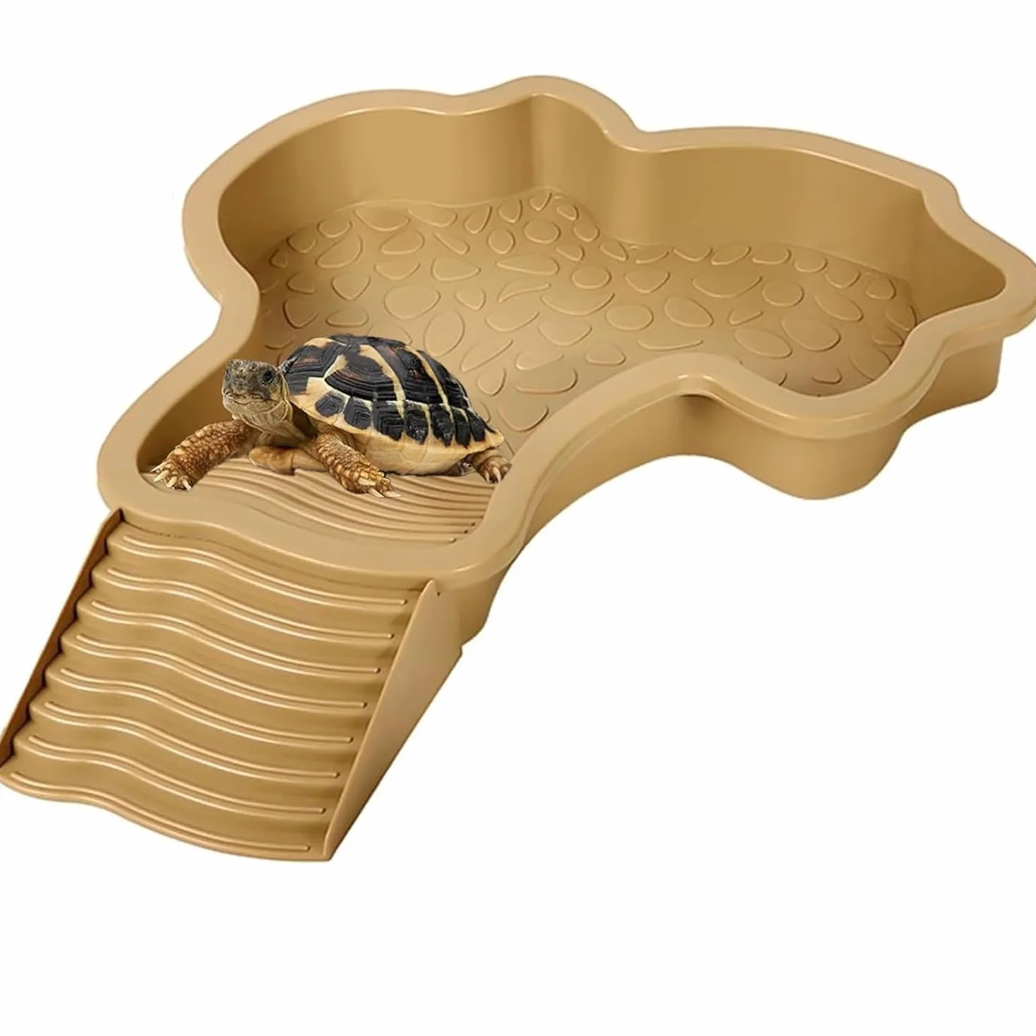 MEISO Abreuvoir Tortue Terrestre avec Rampe et Échelle, Bol d'eau pour Reptiles, Mangeoire pour Tortues, Lézards et Gecko (Brown)