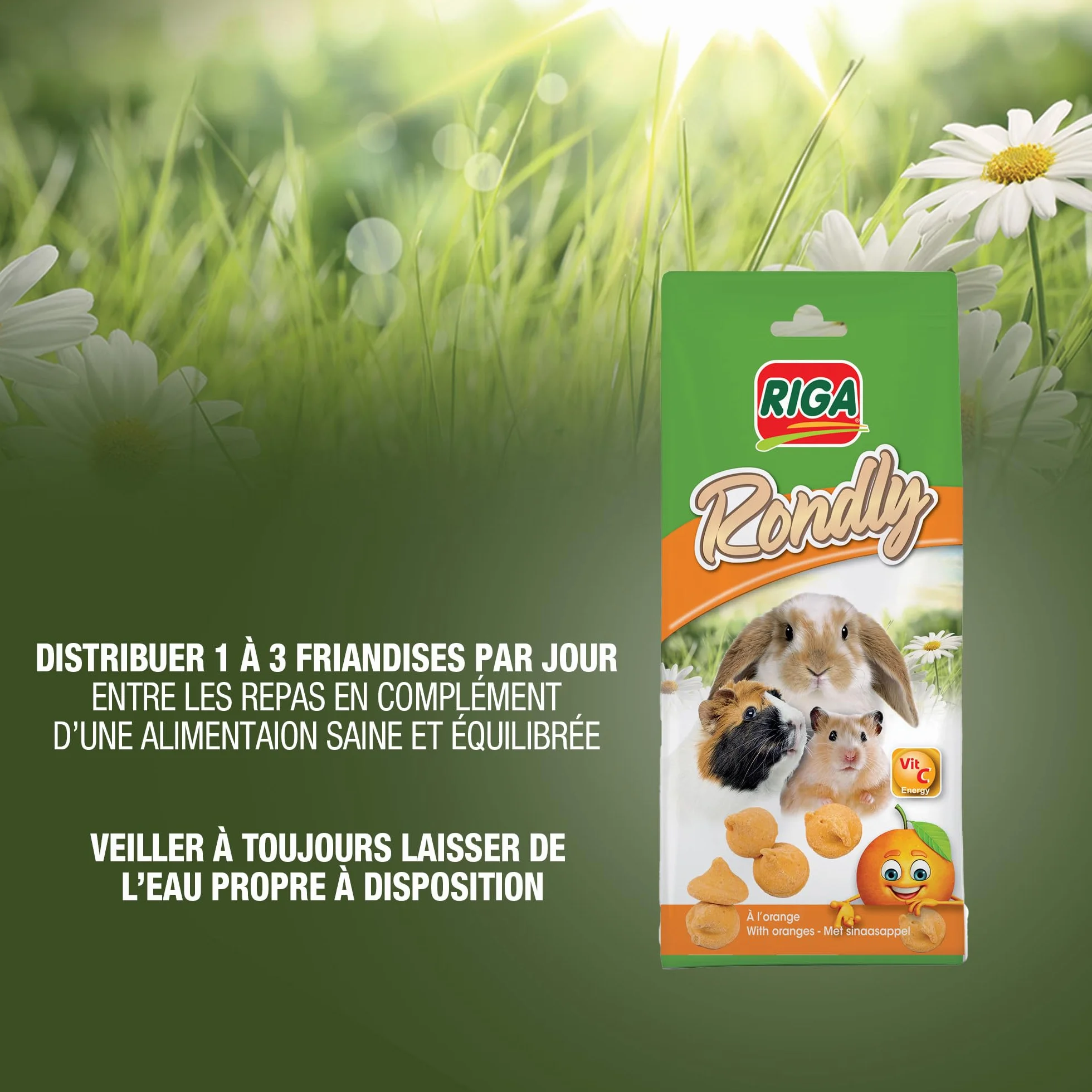 Rondly à l'Orange Friandise Complémentaire pour Rongeur 125 g