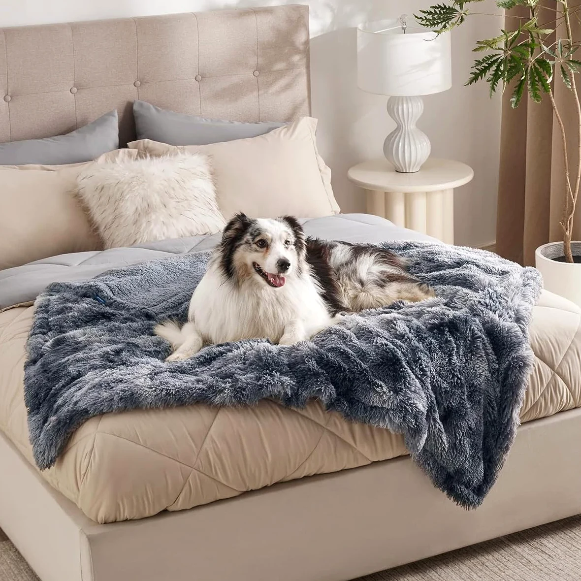 Couverture imperméable pour chien et chat de grande et moyenne taille – Couverture étanche pour canapé-lit – Tapis de couchage doux et chaud pour chaton (beige, 145 x 165 cm)