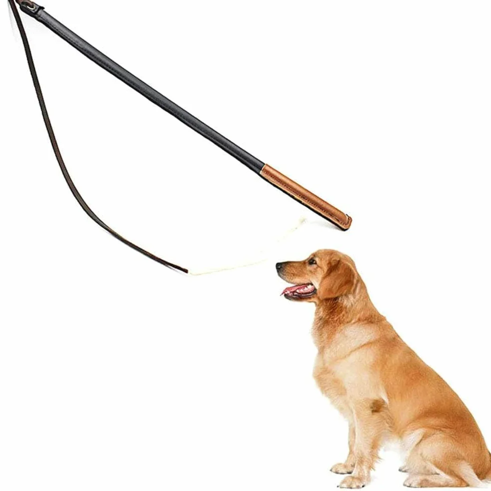 Professionnel Fouet de Dressage pour Chiens, Manche en Fibre à Haute Rebond, Caoutchouc et Cuir Synthétique