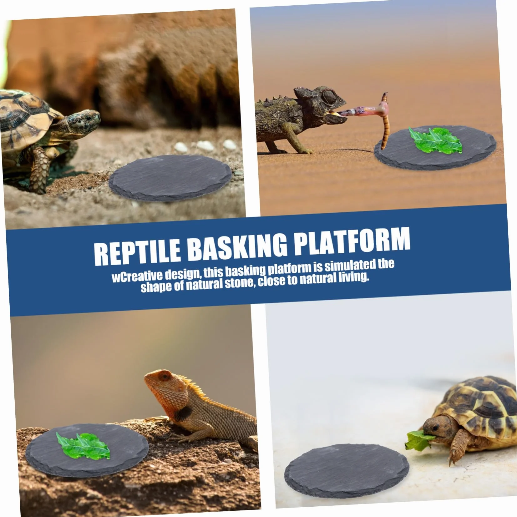 Pierre Plate pour Tortue et Reptile Plateforme Naturelle pour Bain de Soleil Mangeoire Décorative pour Lézard Gecko Serpent Accessoire Terrarium