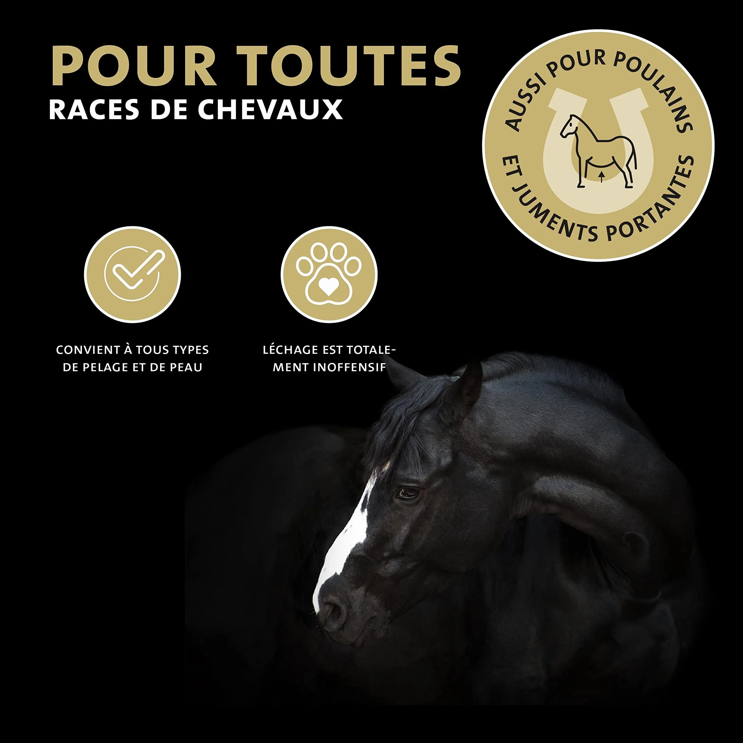 Peticare Cheval Anti-Mouches Noires Roll-on - Défense Contre Mouches Noires, Prévient Dermite Estivale