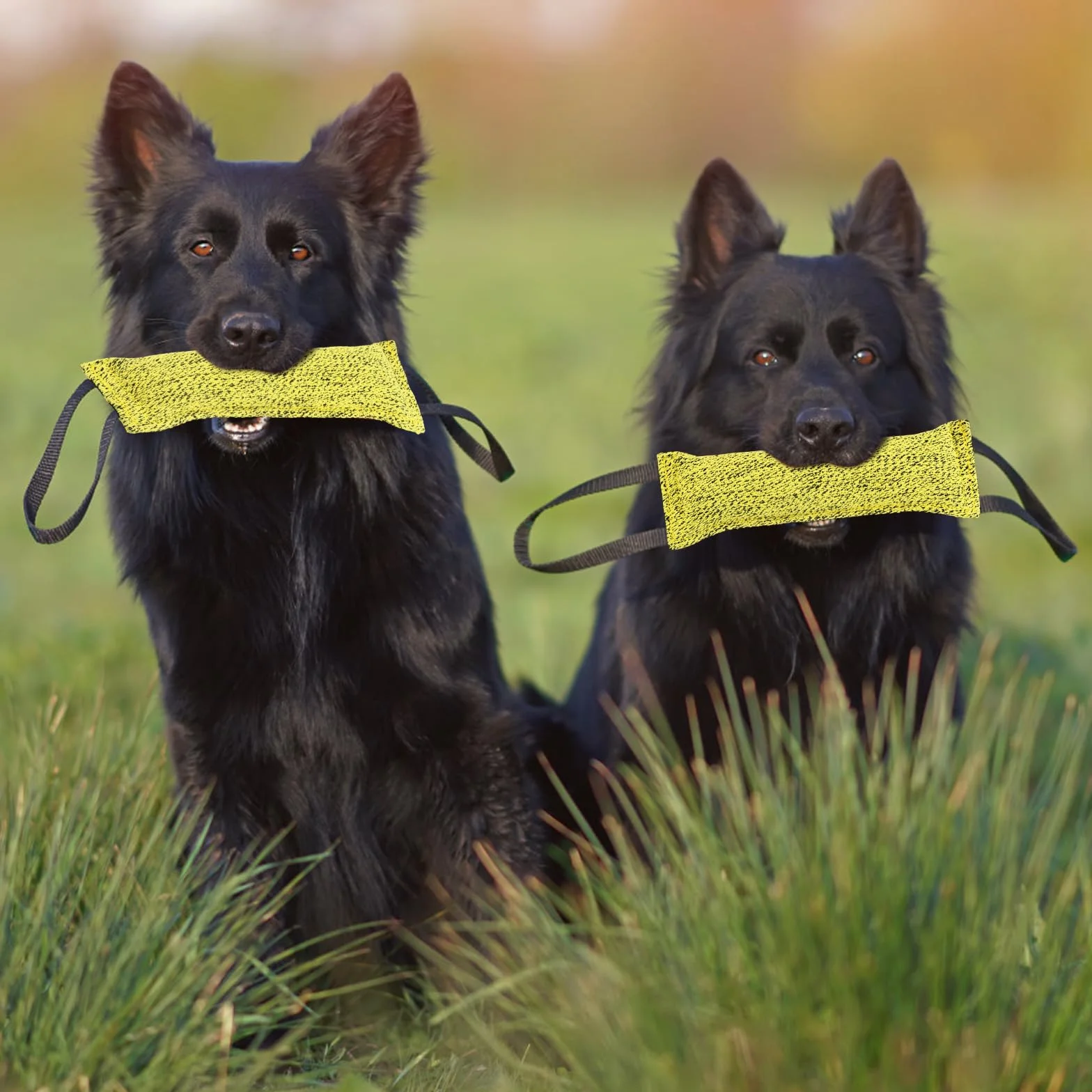 Jouet pour Chien Boudin À Mordre 30 cm avec 2 Anses Tir à la Corde Récupération Gris