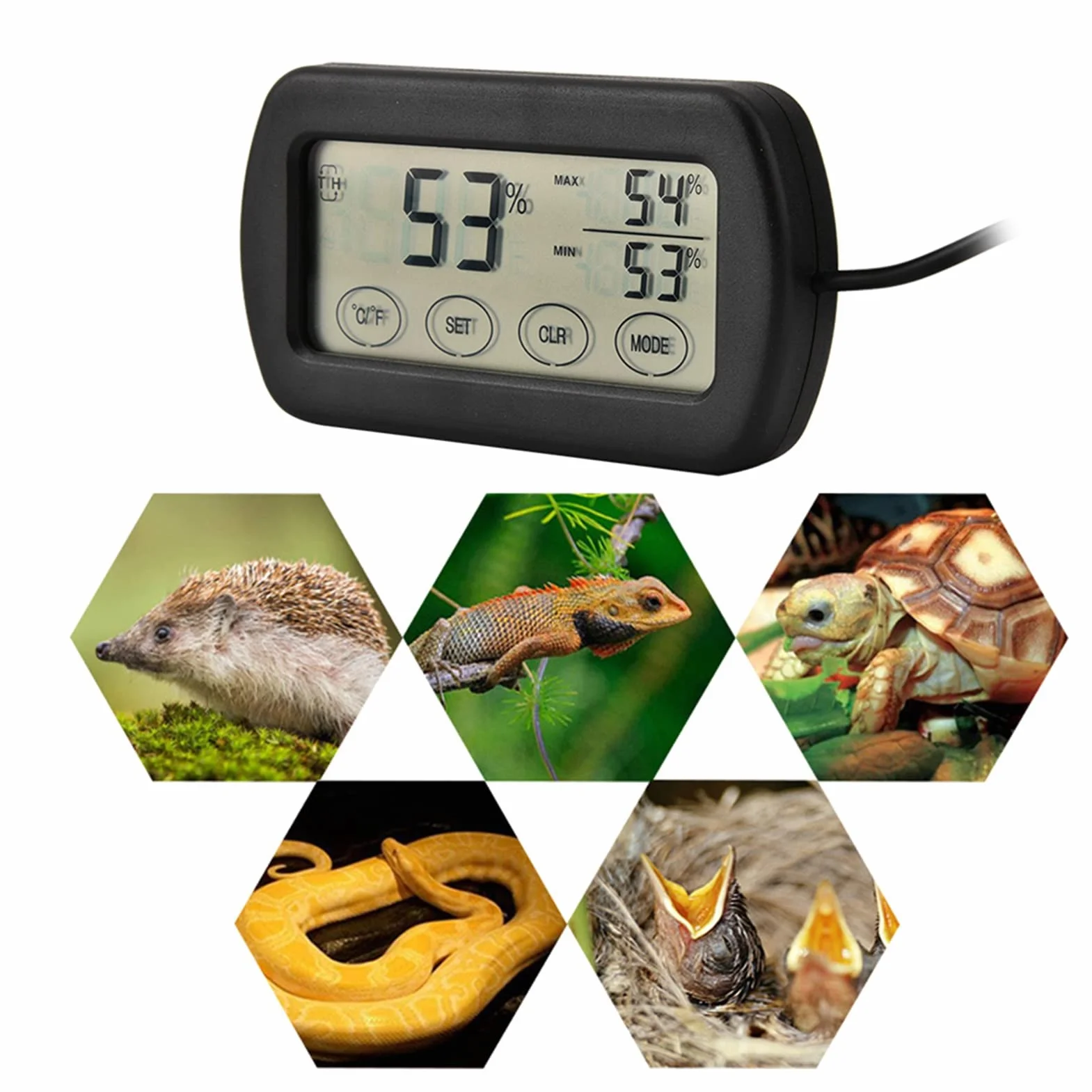 Incubateur d'œufs avec écran LCD, Réservoir de Reptiles, Thermomètre et Hygromètre Numérique
