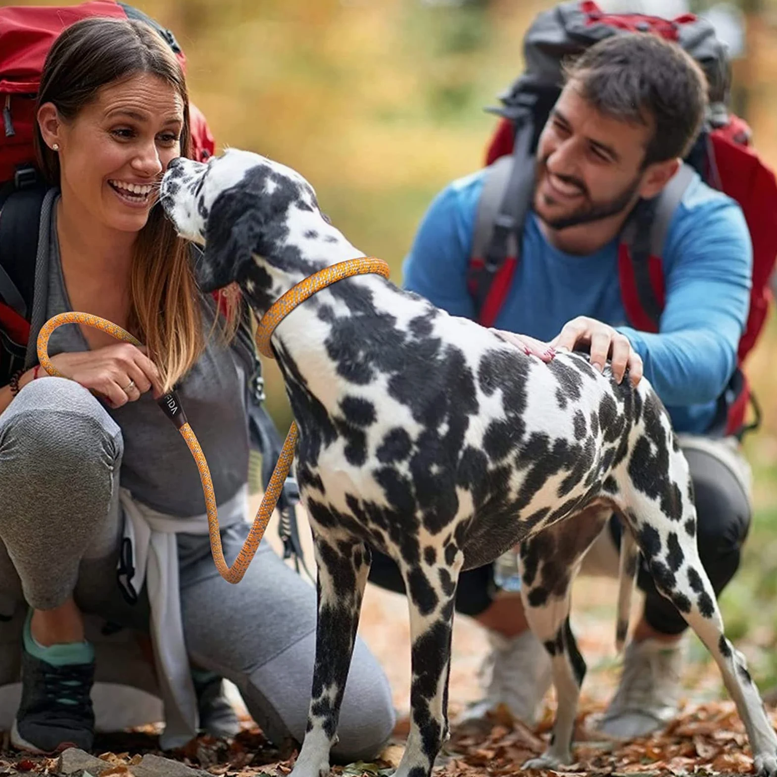 Generic Laisse Chien Corde, Laisse pour Chien en Nylon avec Poignée Rembourrée Douce et des Fils Réfléchissants pour Chiens de Moyenne